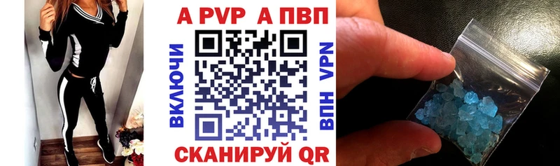 A PVP СК КРИС Онега