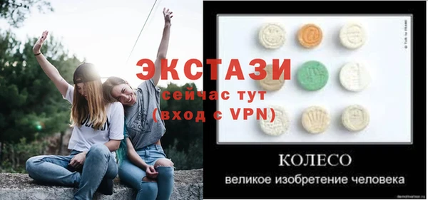трава Ельня